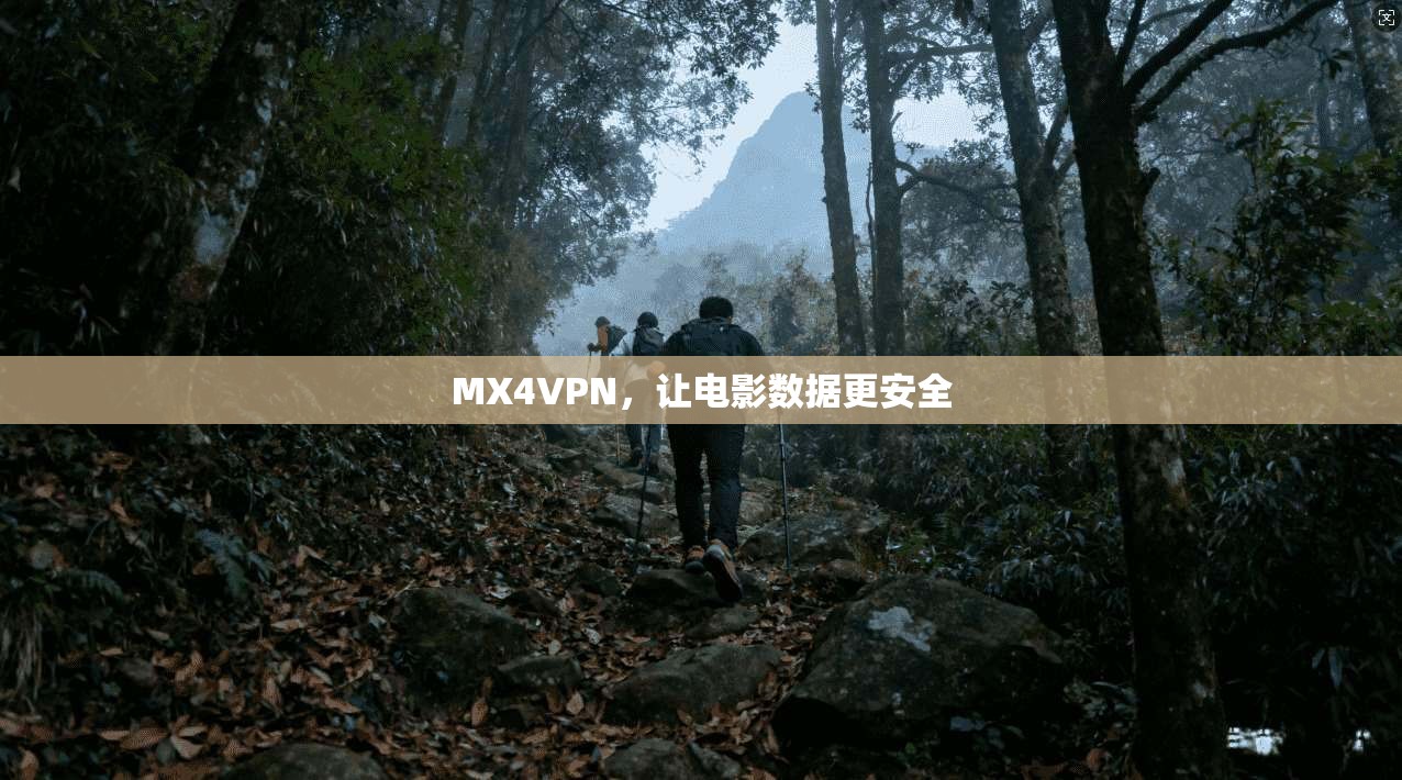 MX4VPN，让电影数据更安全