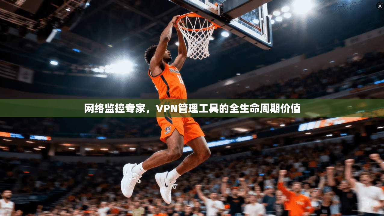 网络监控专家,VPN管理工具的全生命周期价值 第1张 网络监控专家,VPN管理工具的全生命周期价值 第1张