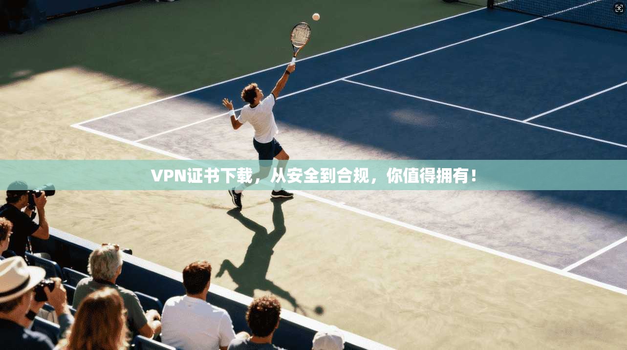 VPN证书下载,从安全到合规,你值得拥有! 第1张 VPN证书下载,从安全到合规,你值得拥有! 第1张