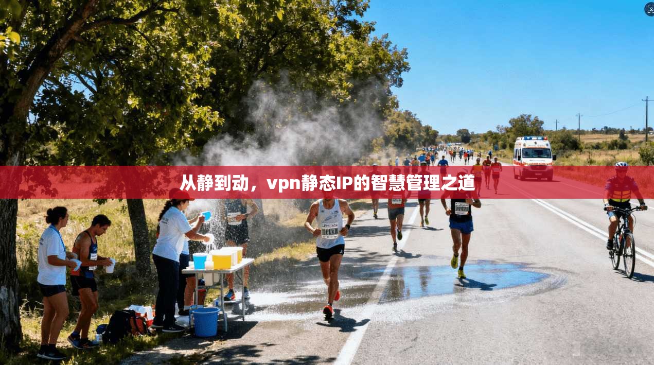 从静到动，vpn静态IP的智慧管理之道  第1张