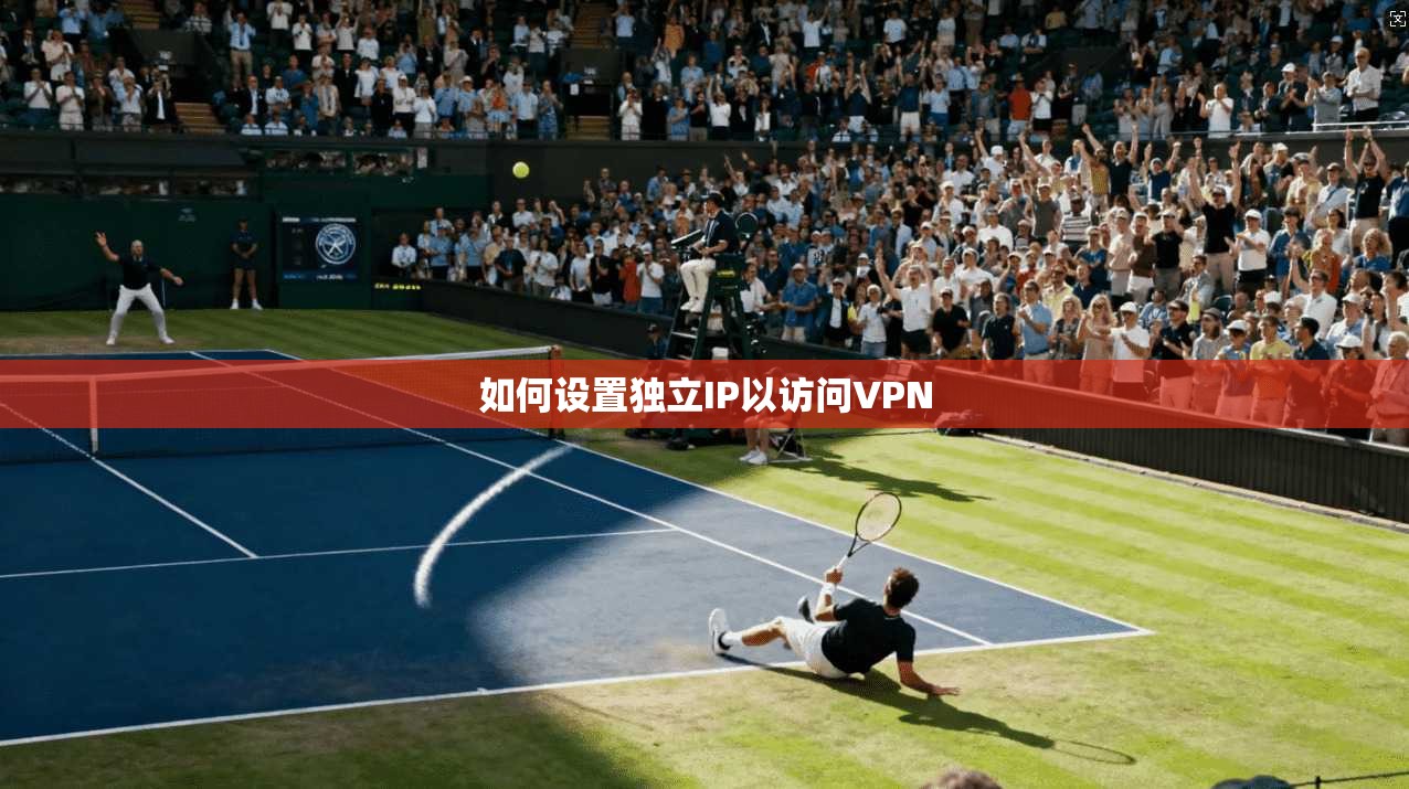 如何设置独立IP以访问VPN