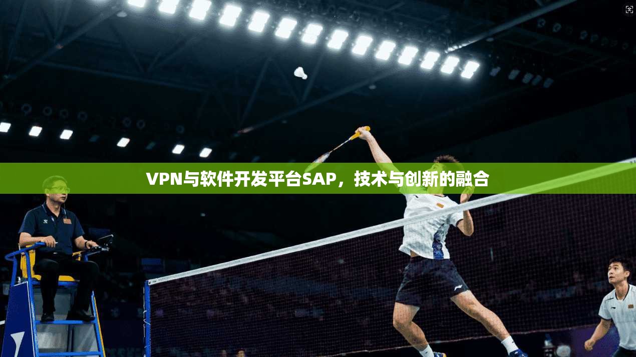 VPN与软件开发平台SAP，技术与创新的融合