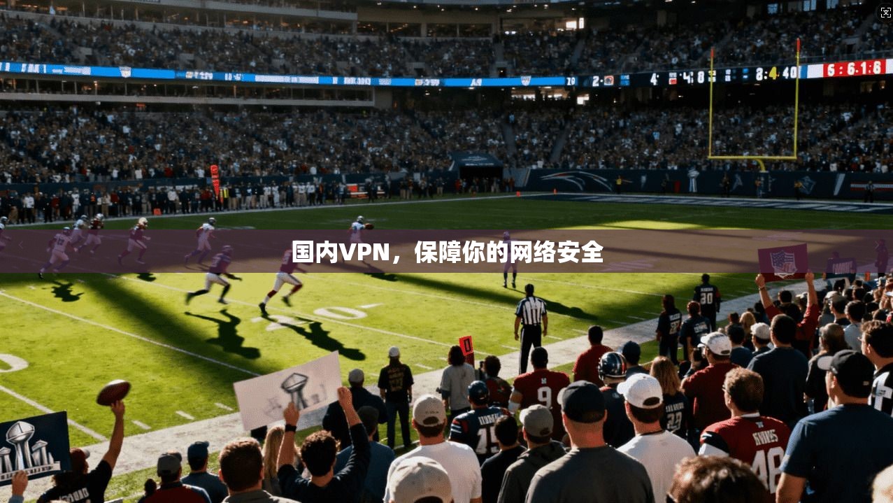 国内VPN，保障你的网络安全