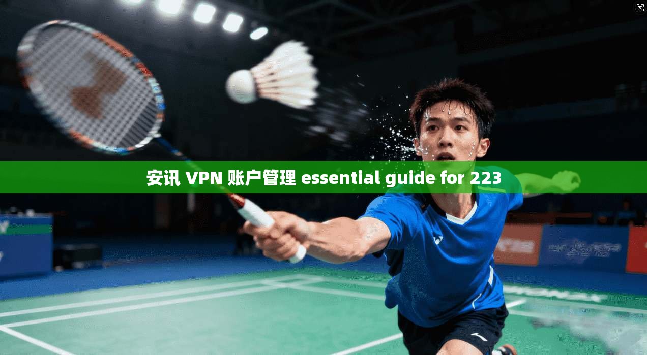 安讯 VPN 账户管理 essential guide for 223