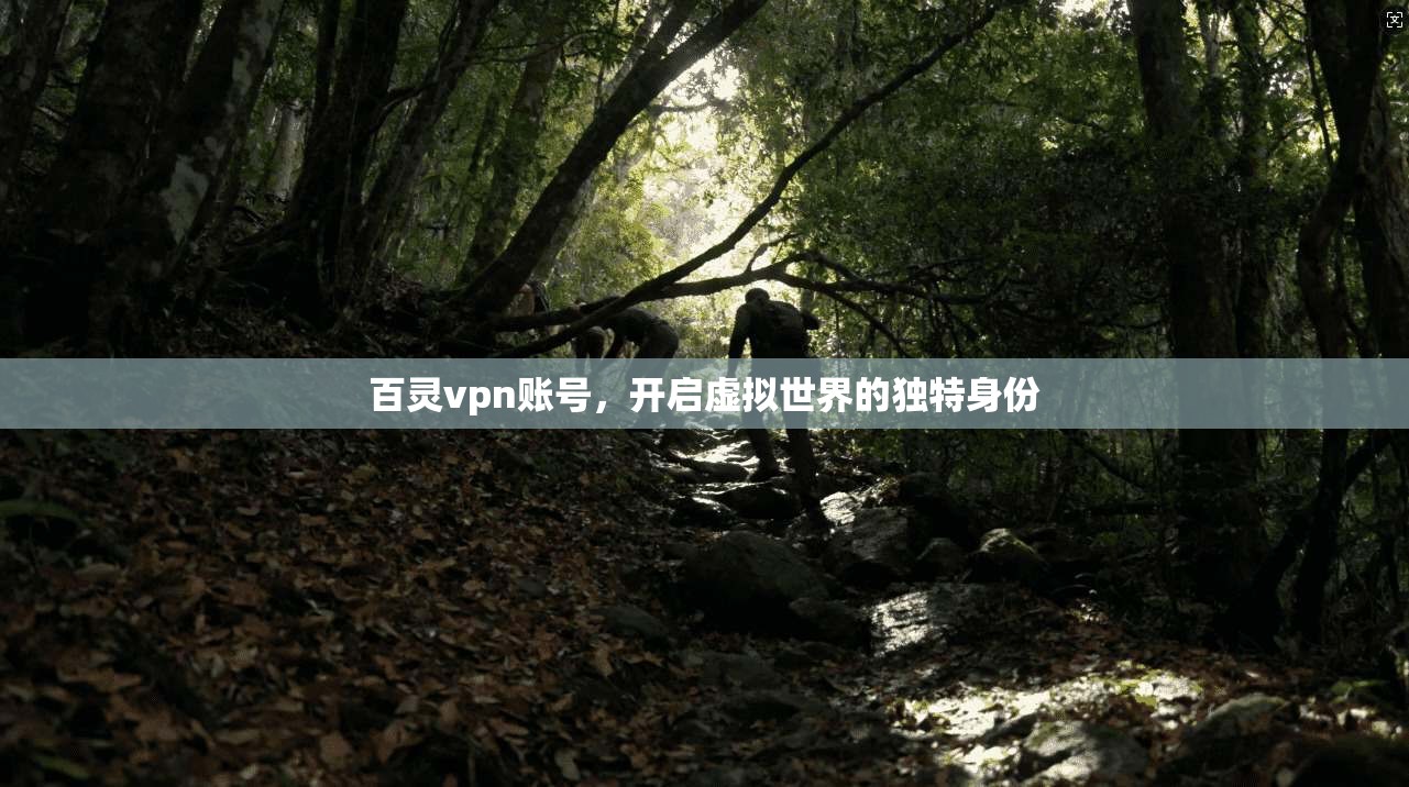 百灵vpn账号，开启虚拟世界的独特身份
