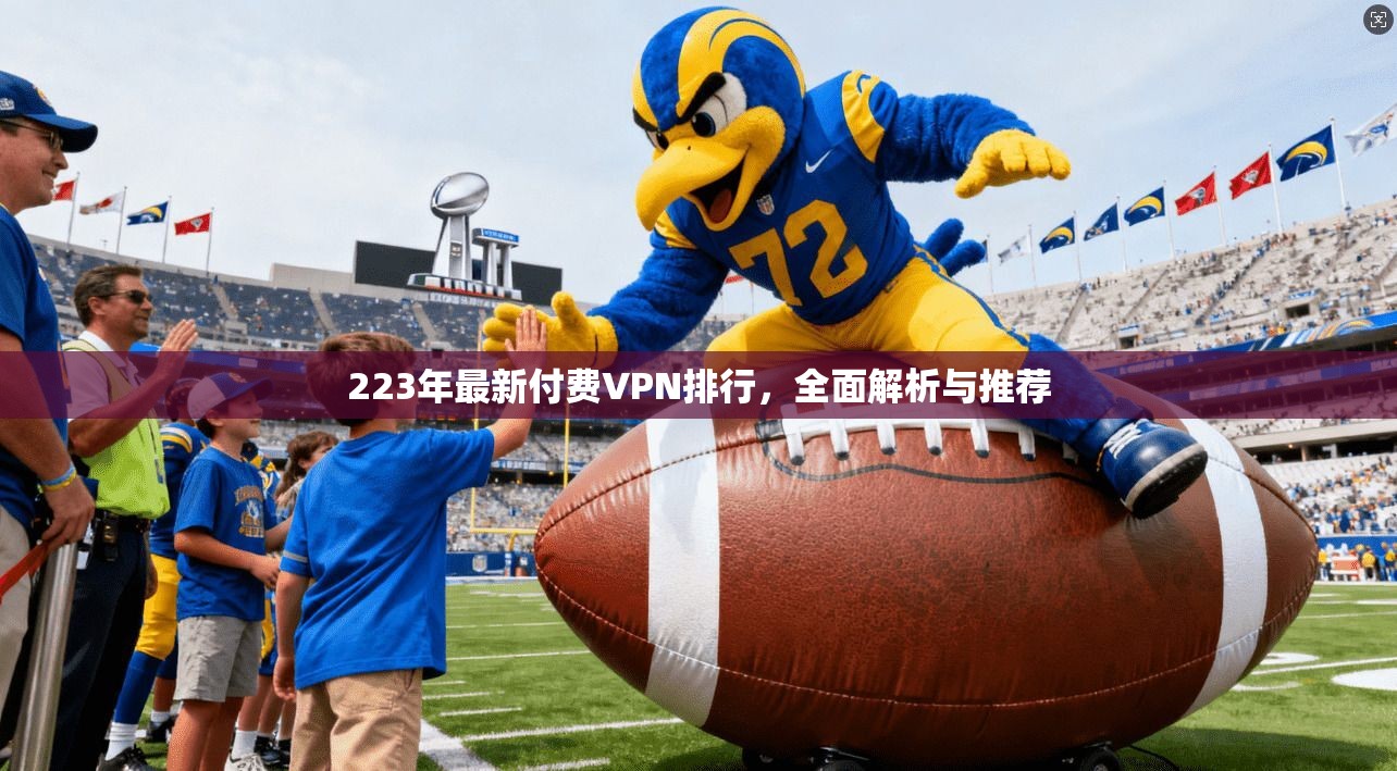 223年最新付费VPN排行，全面解析与推荐