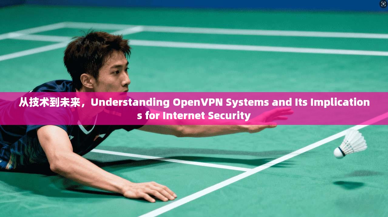 从技术到未来,Understanding OpenVPN Systems and Its Implications for Internet Security 第1张 从技术到未来,Understanding OpenVPN Systems and Its Implications for Internet Security 第1张