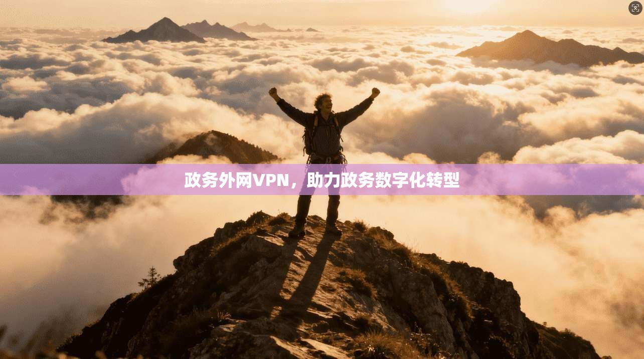 政务外网VPN,助力政务数字化转型 第1张 政务外网VPN,助力政务数字化转型 第1张