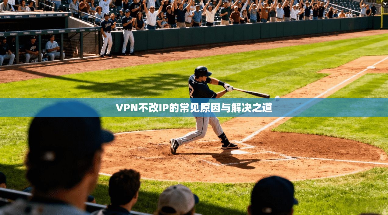 VPN不改IP的常见原因与解决之道