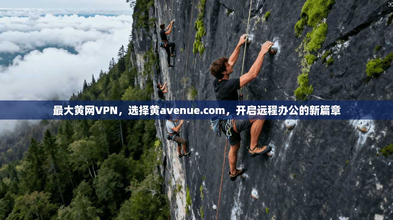 最大黄网VPN,选择黄avenue.com,开启远程办公的新篇章 第1张 最大黄网VPN,选择黄avenue.com,开启远程办公的新篇章 第1张