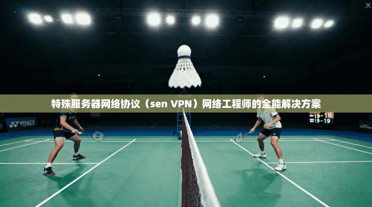 特殊服务器网络协议（sen VPN）网络工程师的全能解决方案  第1张