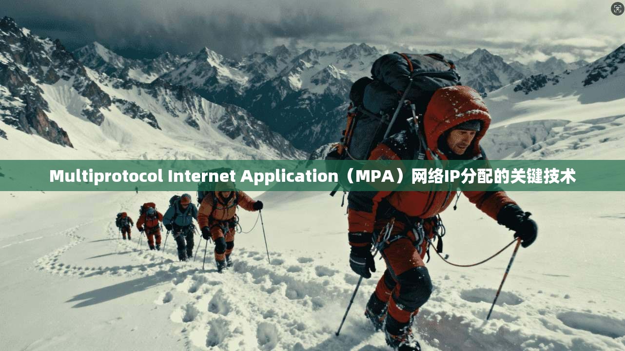 Multiprotocol Internet Application（MPA）网络IP分配的关键技术