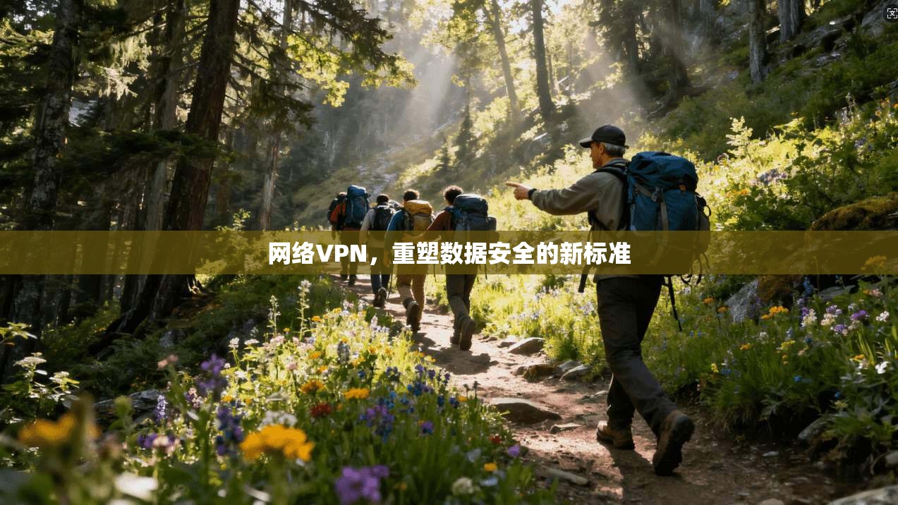 网络VPN，重塑数据安全的新标准