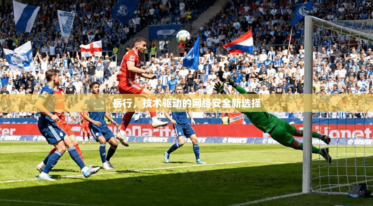 岳行,技术驱动的网络安全新选择 第1张 岳行,技术驱动的网络安全新选择 第1张