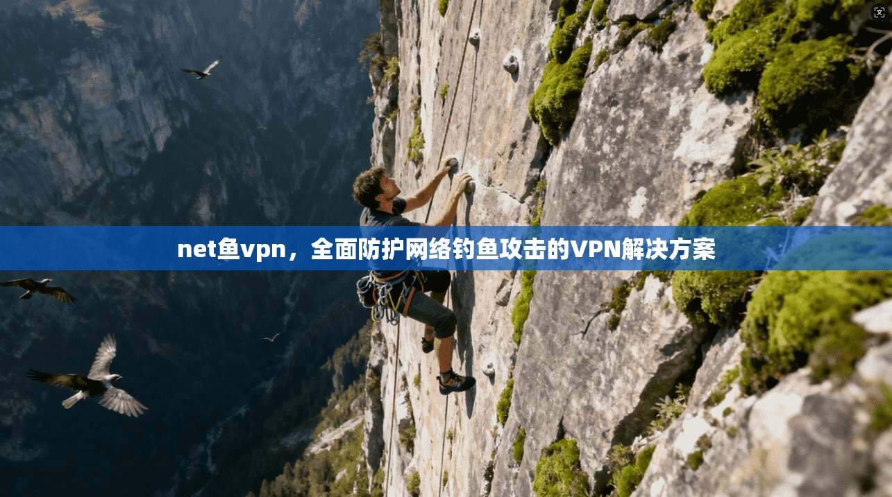 net鱼vpn，全面防护网络钓鱼攻击的VPN解决方案  第1张