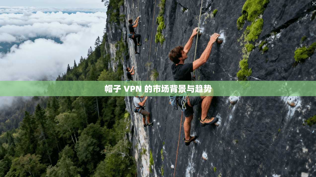 帽子 VPN 的市场背景与趋势  第1张