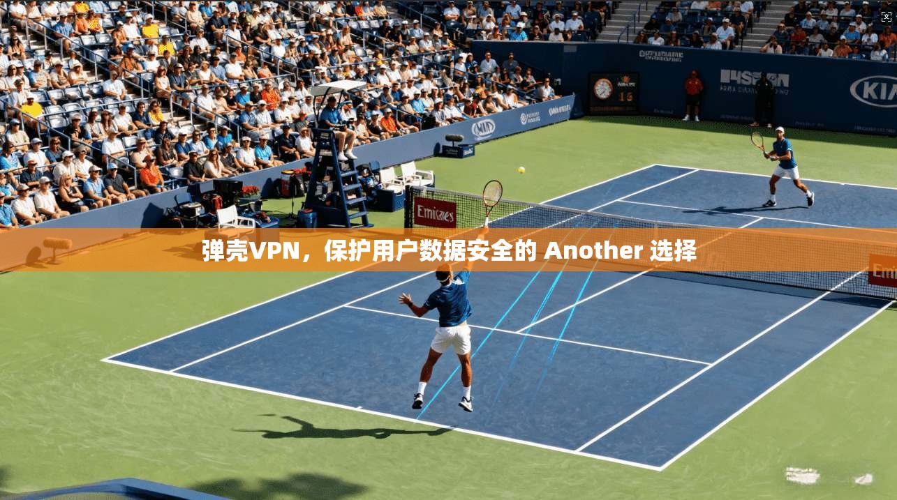 弹壳VPN,保护用户数据安全的 Another 选择 第1张 弹壳VPN,保护用户数据安全的 Another 选择 第1张