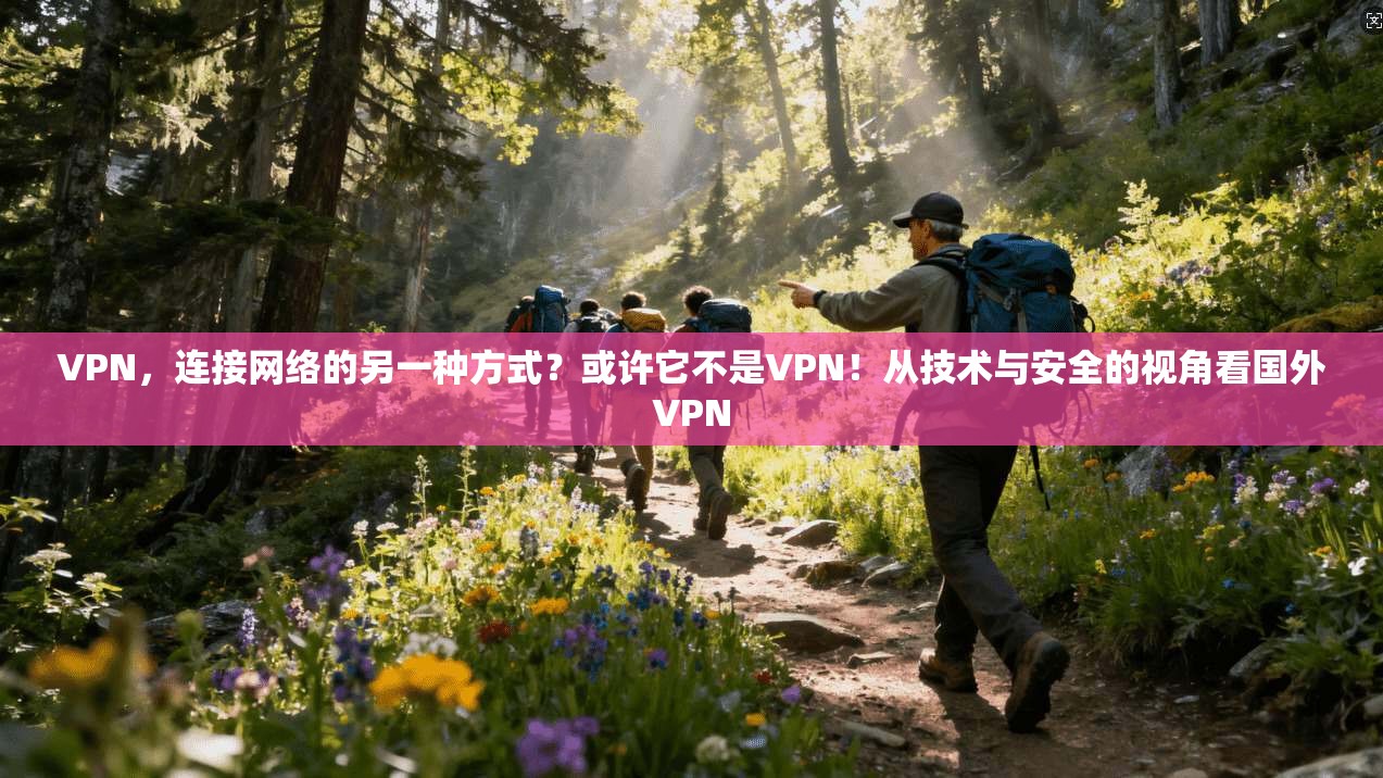 VPN,连接网络的另一种方式?或许它不是VPN!从技术与安全的视角看国外VPN 第1张 VPN,连接网络的另一种方式?或许它不是VPN!从技术与安全的视角看国外VPN 第1张