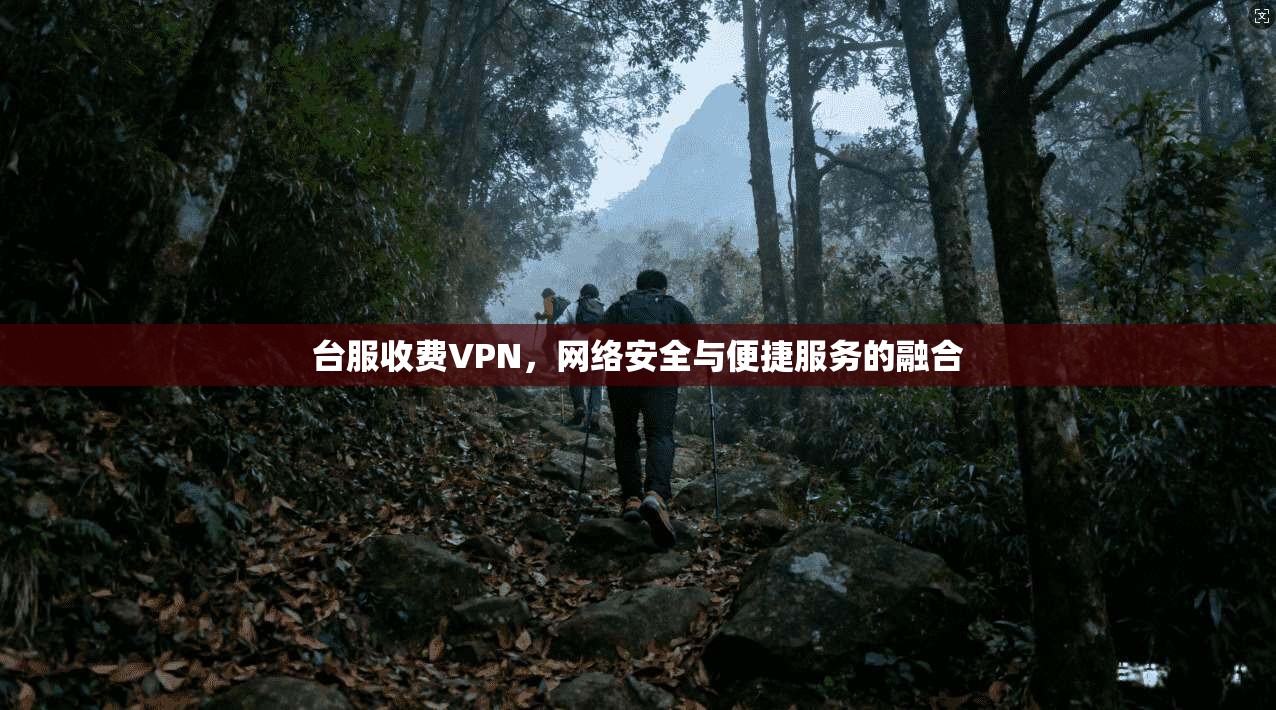 台服收费VPN,网络安全与便捷服务的融合 第1张 台服收费VPN,网络安全与便捷服务的融合 第1张