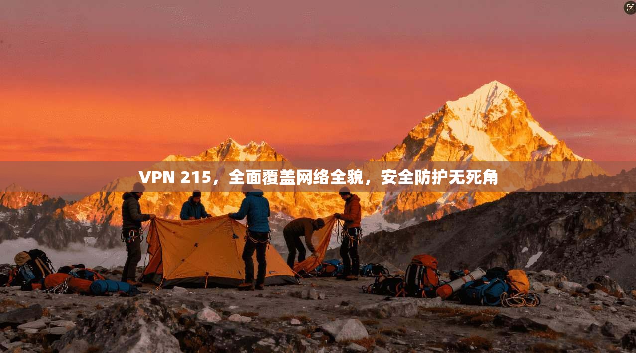 VPN 215，全面覆盖网络全貌，安全防护无死角