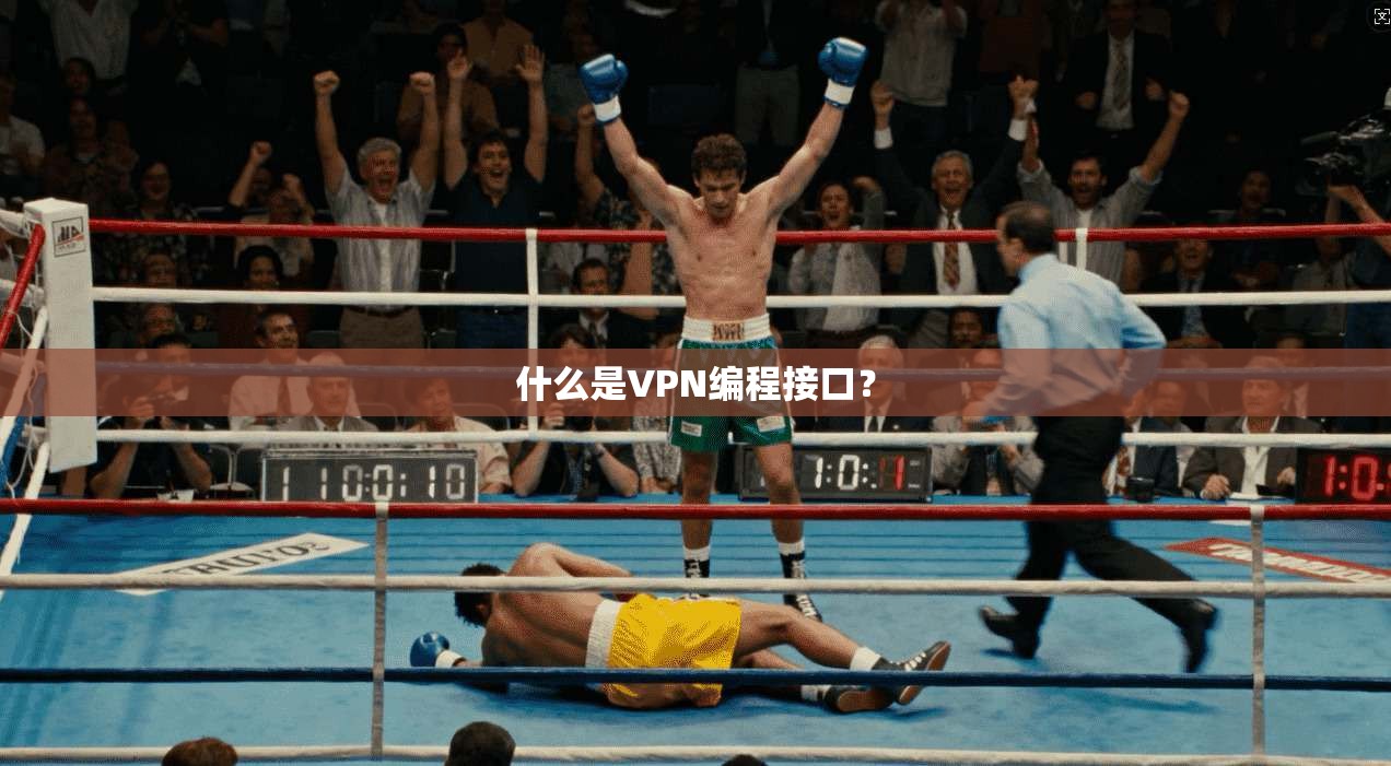 什么是VPN编程接口？  第1张