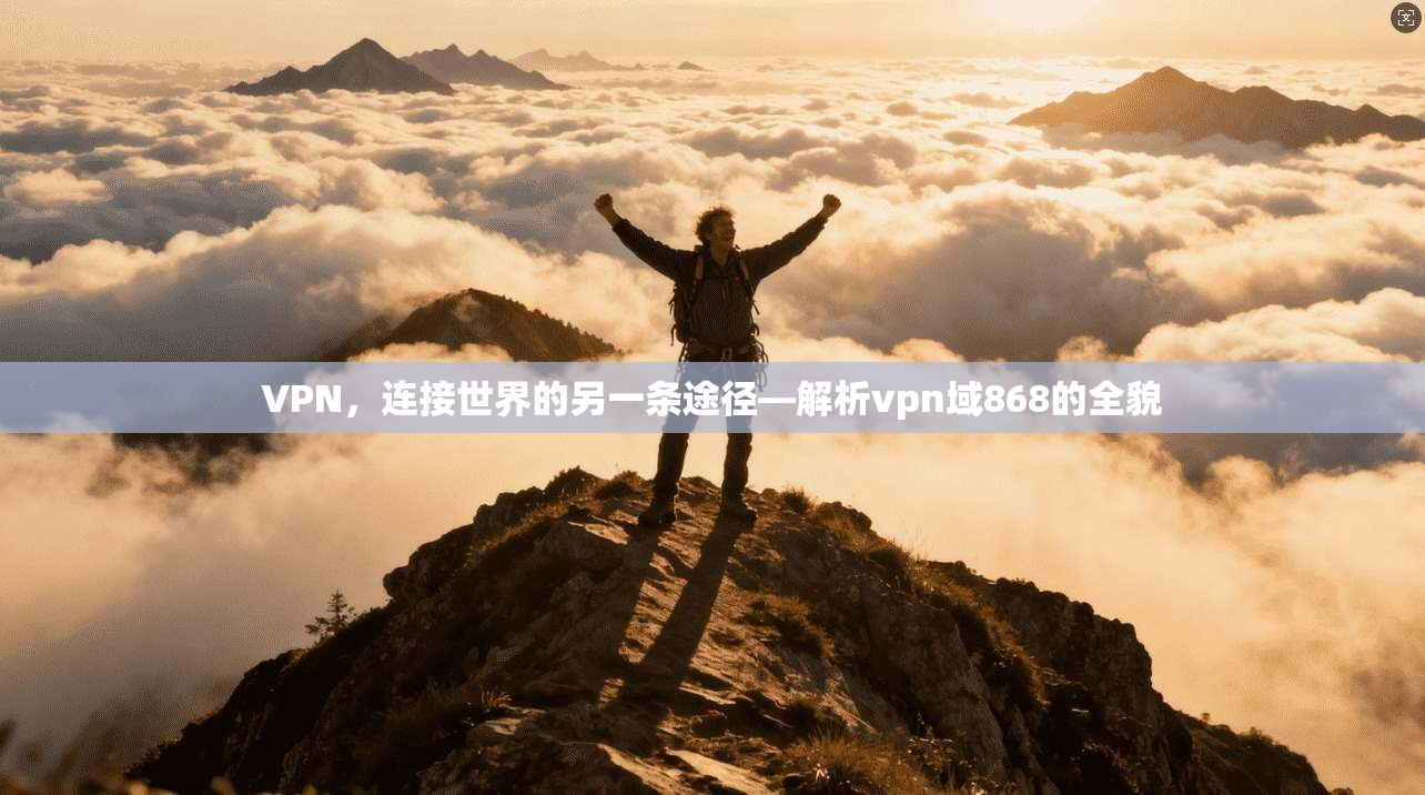 VPN,连接世界的另一条途径—解析vpn域868的全貌 第1张 VPN,连接世界的另一条途径—解析vpn域868的全貌 第1张