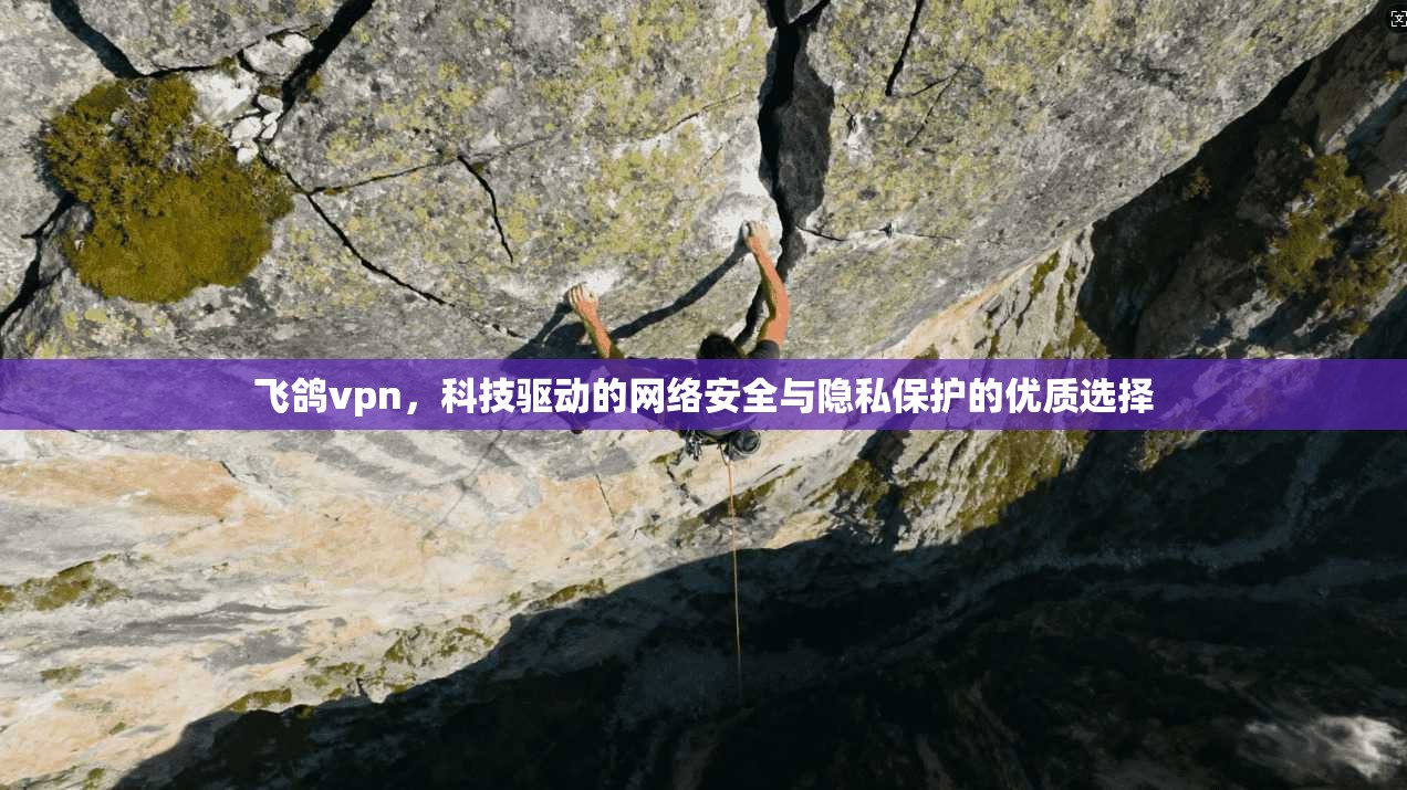 飞鸽vpn，科技驱动的网络安全与隐私保护的优质选择