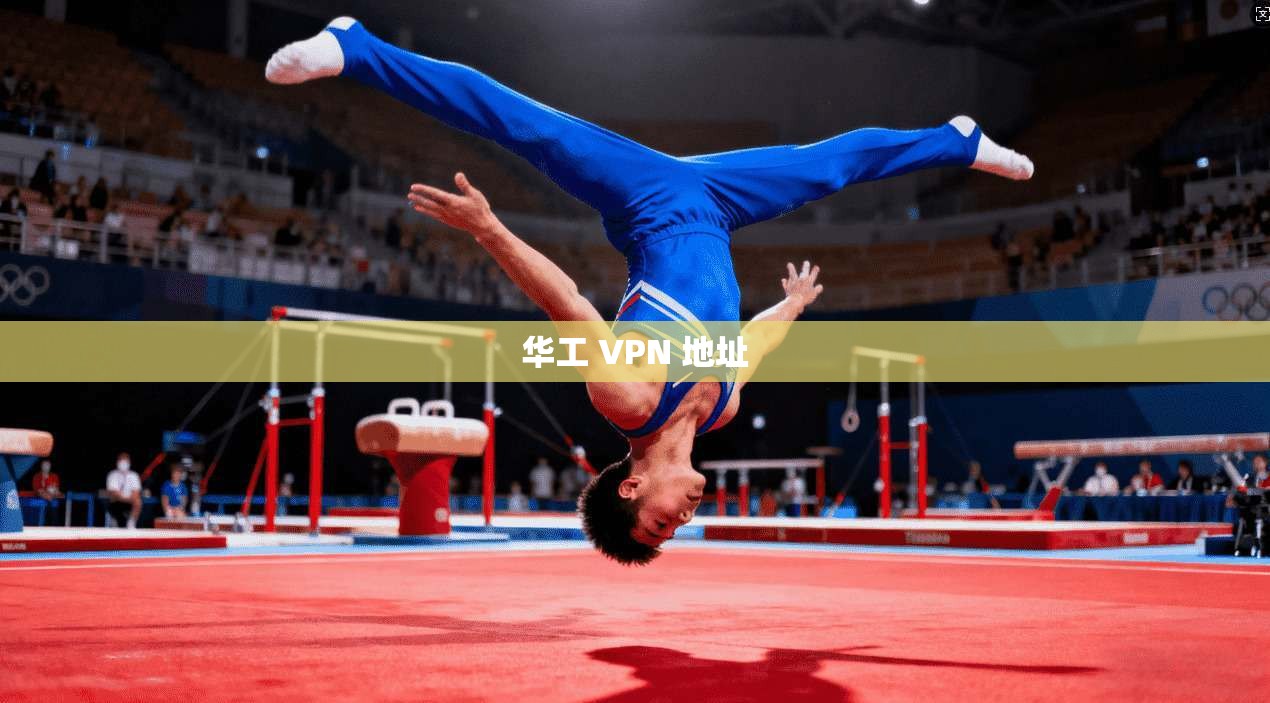 华工 VPN 地址 第1张 华工 VPN 地址 第1张