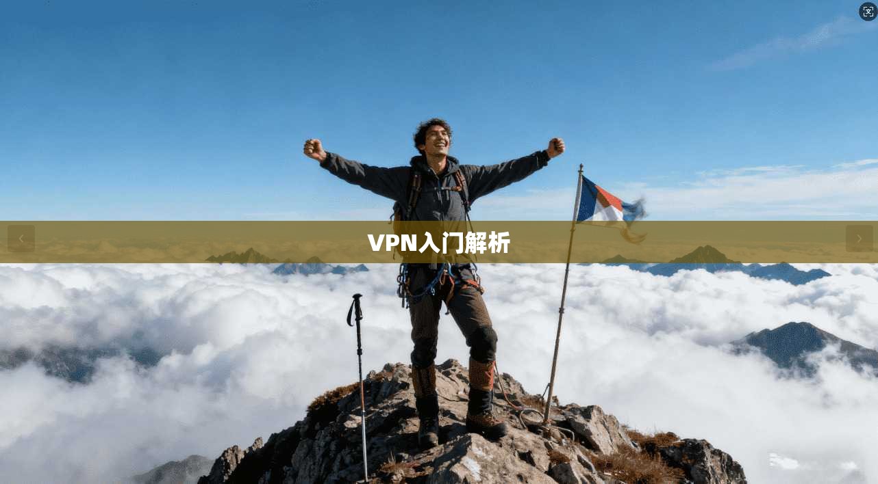 VPN入门解析