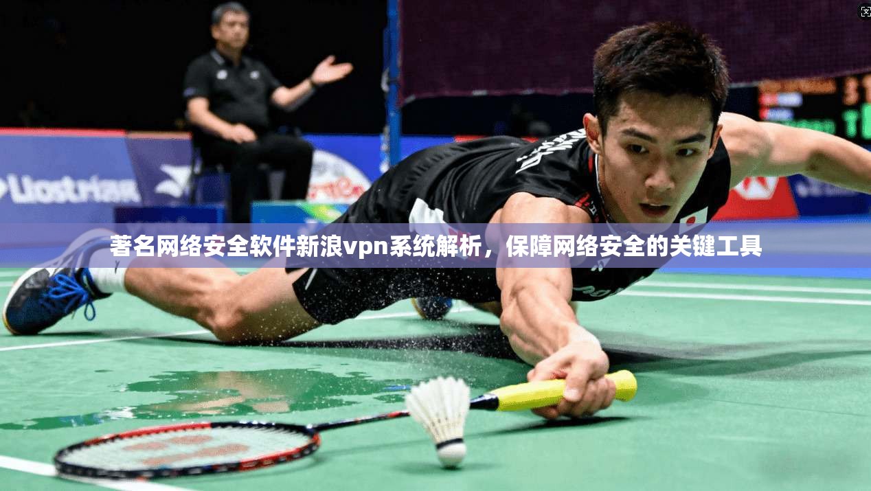著名网络安全软件新浪vpn系统解析，保障网络安全的关键工具