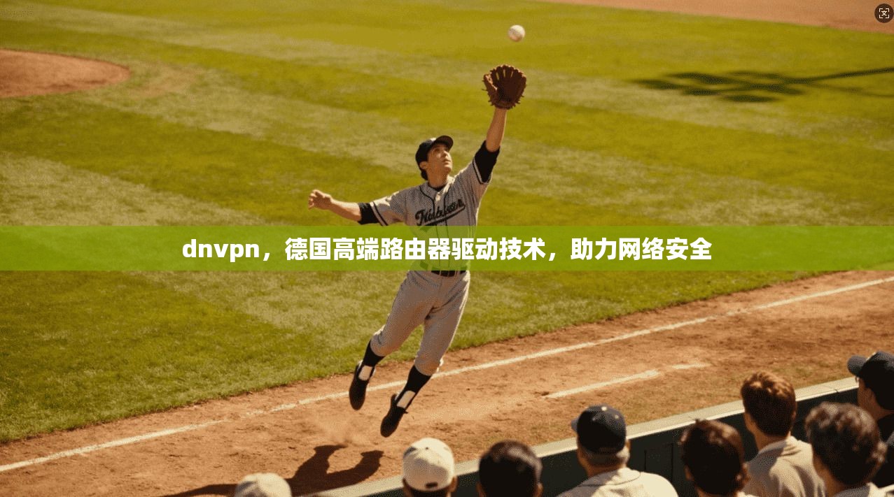 dnvpn，德国高端路由器驱动技术，助力网络安全