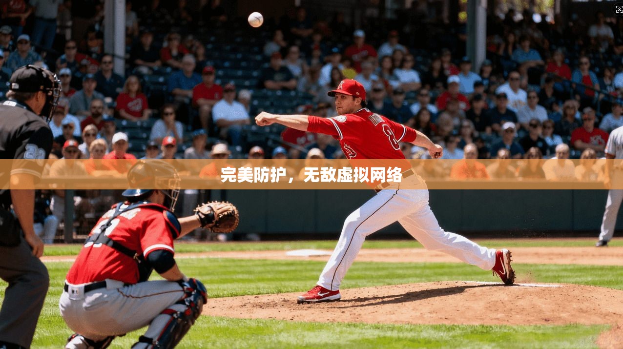 完美防护,无敌虚拟网络 第1张 完美防护,无敌虚拟网络 第1张