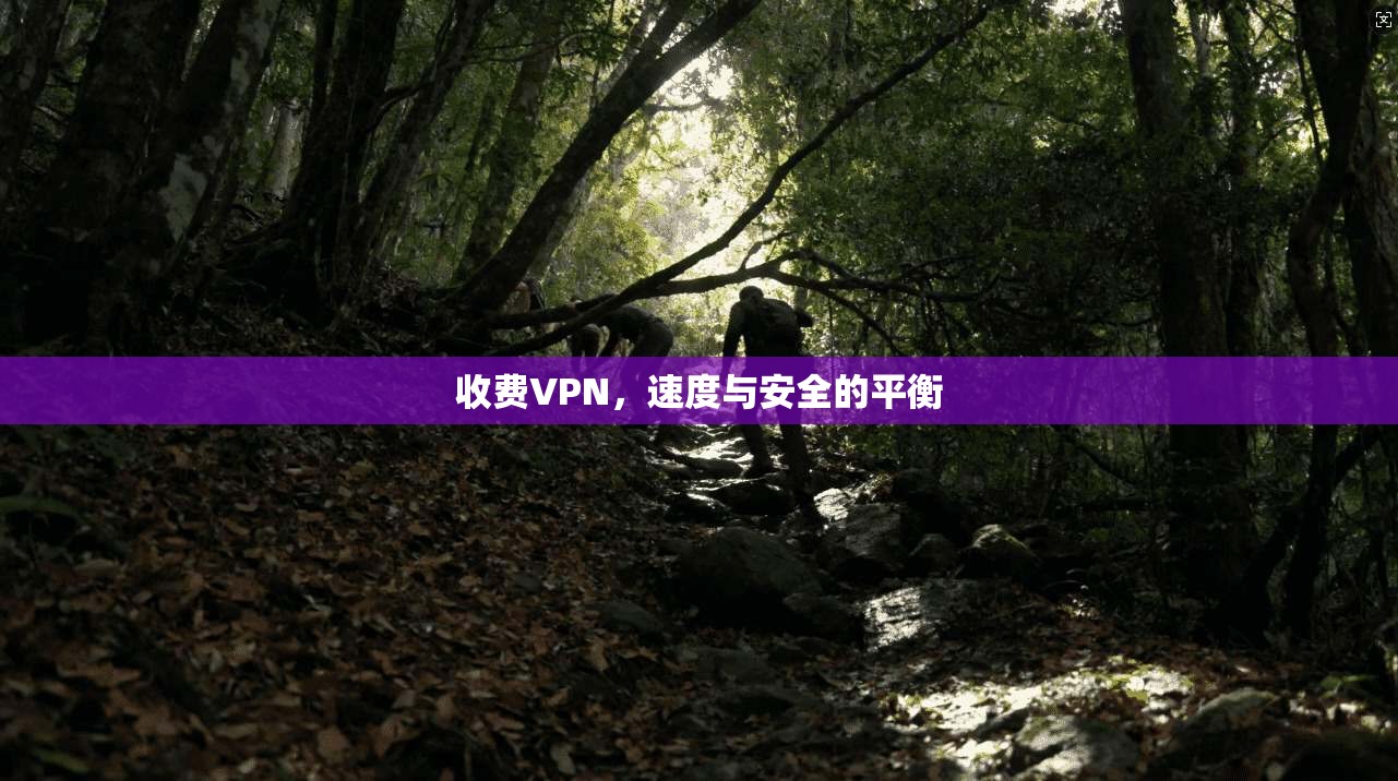 收费VPN,速度与安全的平衡 第1张 收费VPN,速度与安全的平衡 第1张