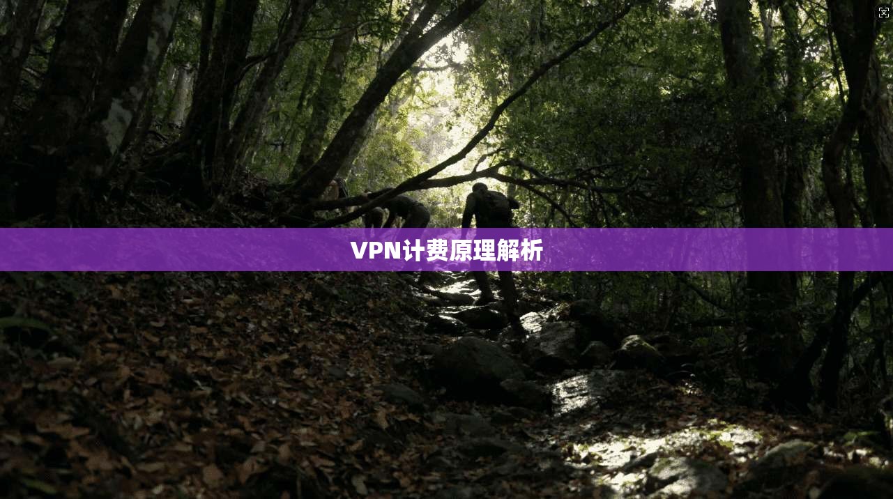 VPN计费原理解析  第1张