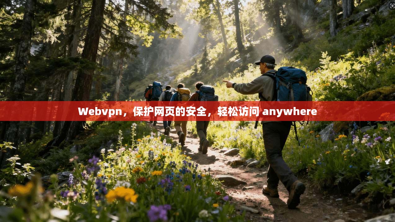 Webvpn，保护网页的安全，轻松访问 anywhere