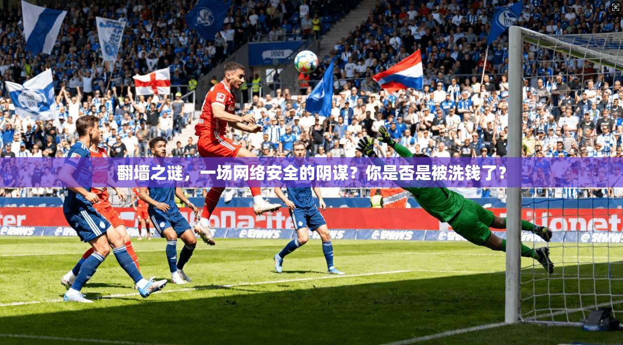 翻墙之谜，一场网络安全的阴谋？你是否是被洗钱了？  第1张