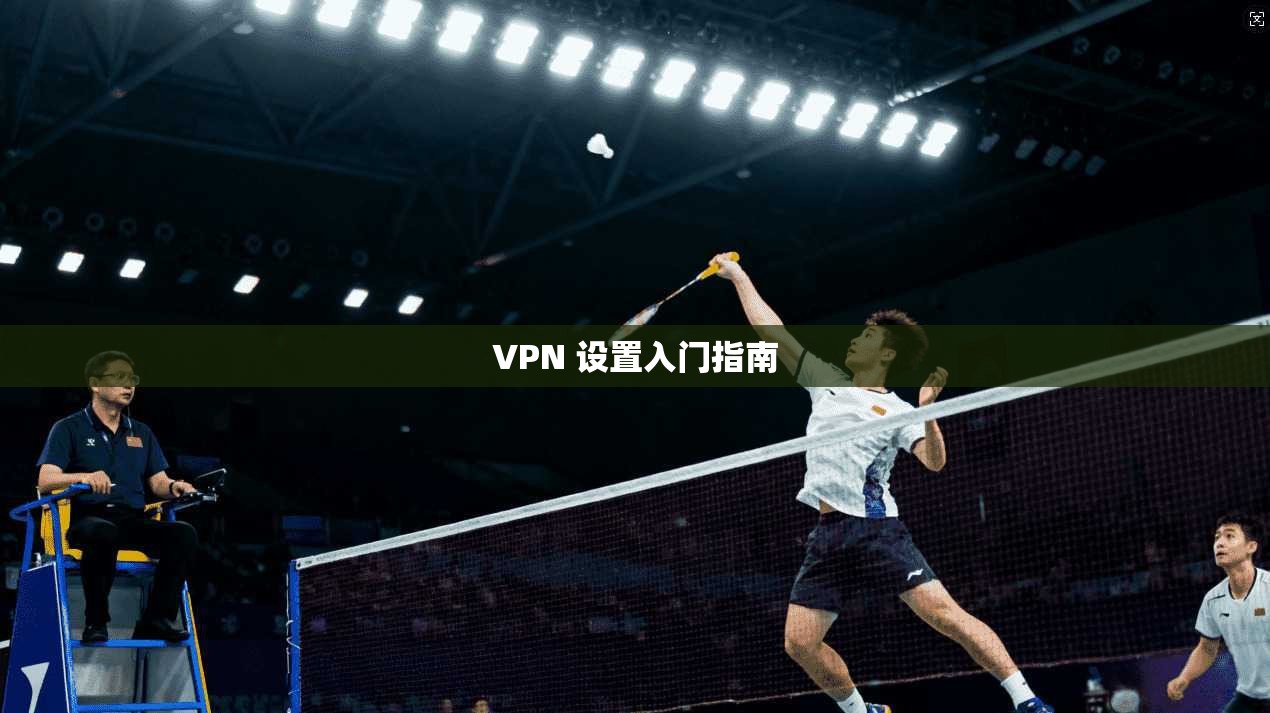 VPN 设置入门指南