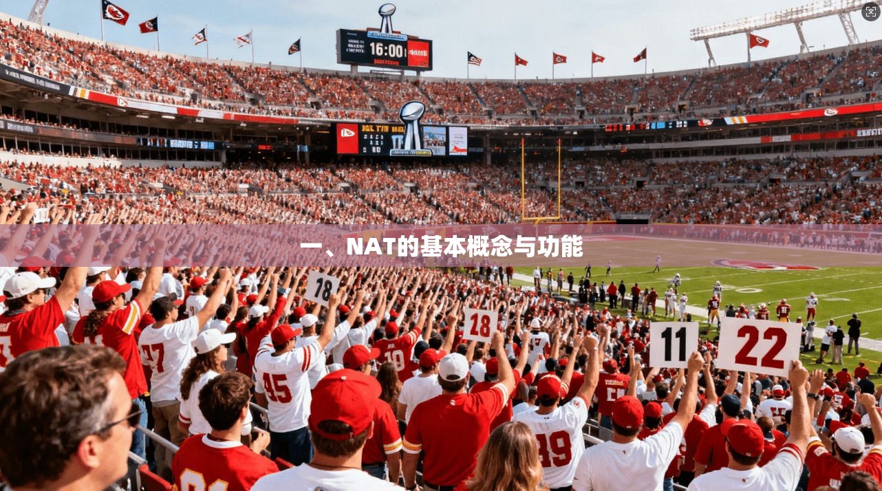 一、NAT的基本概念与功能  第1张