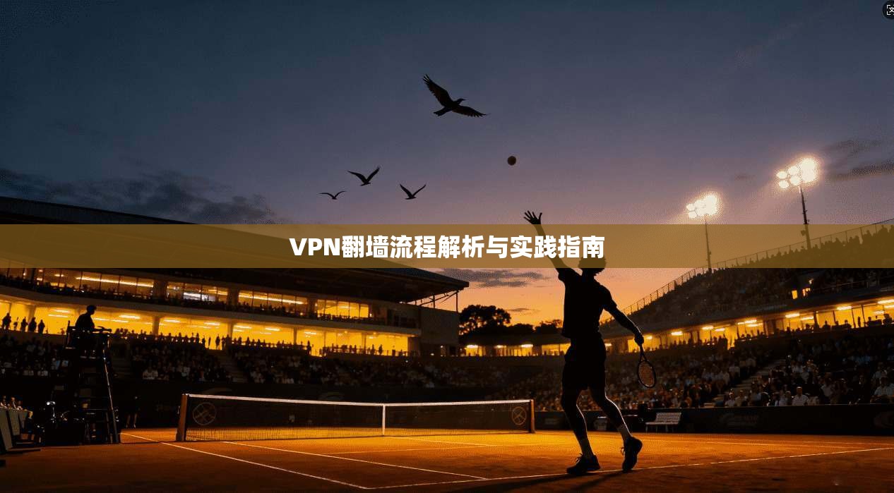 VPN翻墙流程解析与实践指南