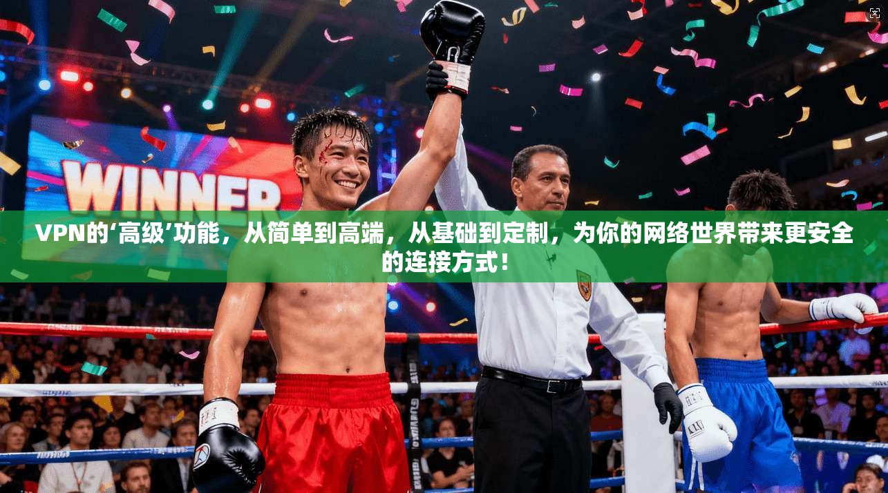 VPN的‘高级’功能，从简单到高端，从基础到定制，为你的网络世界带来更安全的连接方式！  第1张