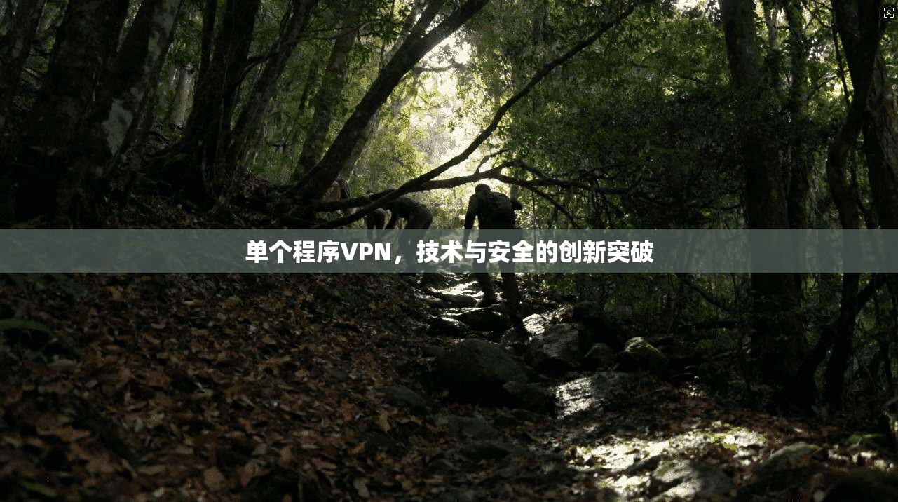单个程序VPN,技术与安全的创新突破 第1张 单个程序VPN,技术与安全的创新突破 第1张