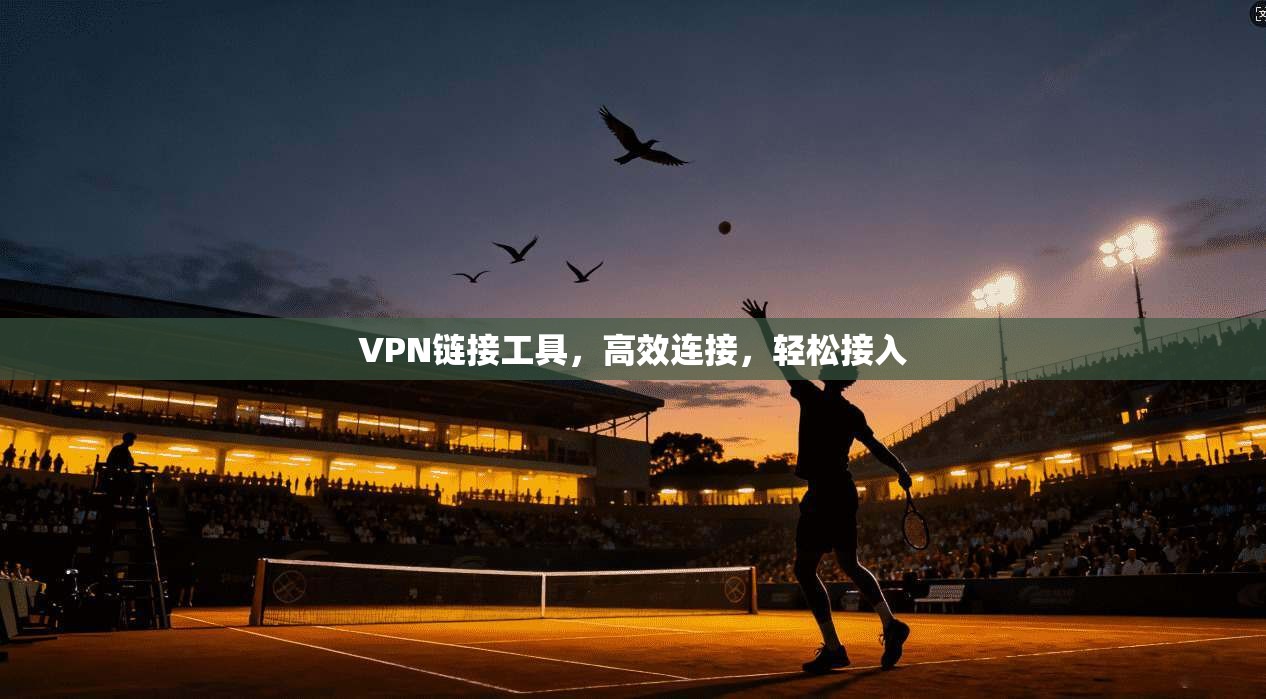 VPN链接工具，高效连接，轻松接入