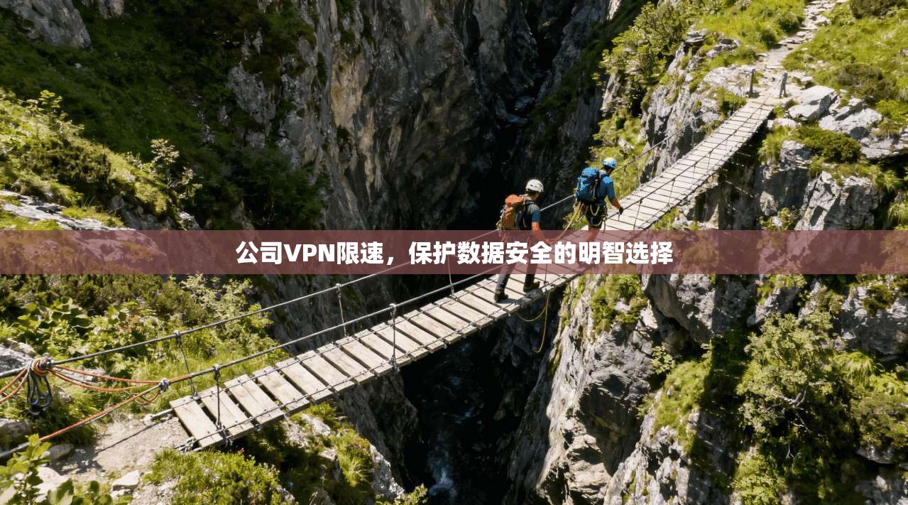 公司VPN限速，保护数据安全的明智选择  第1张