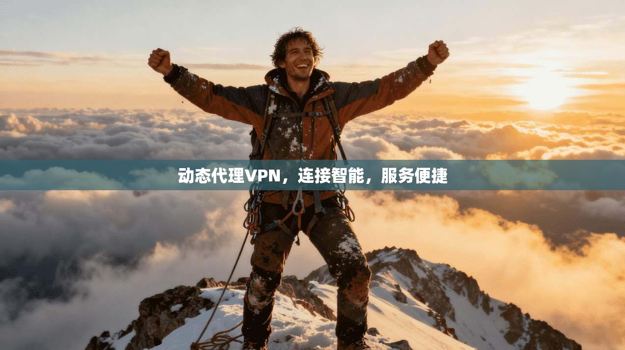 动态代理VPN，连接智能，服务便捷