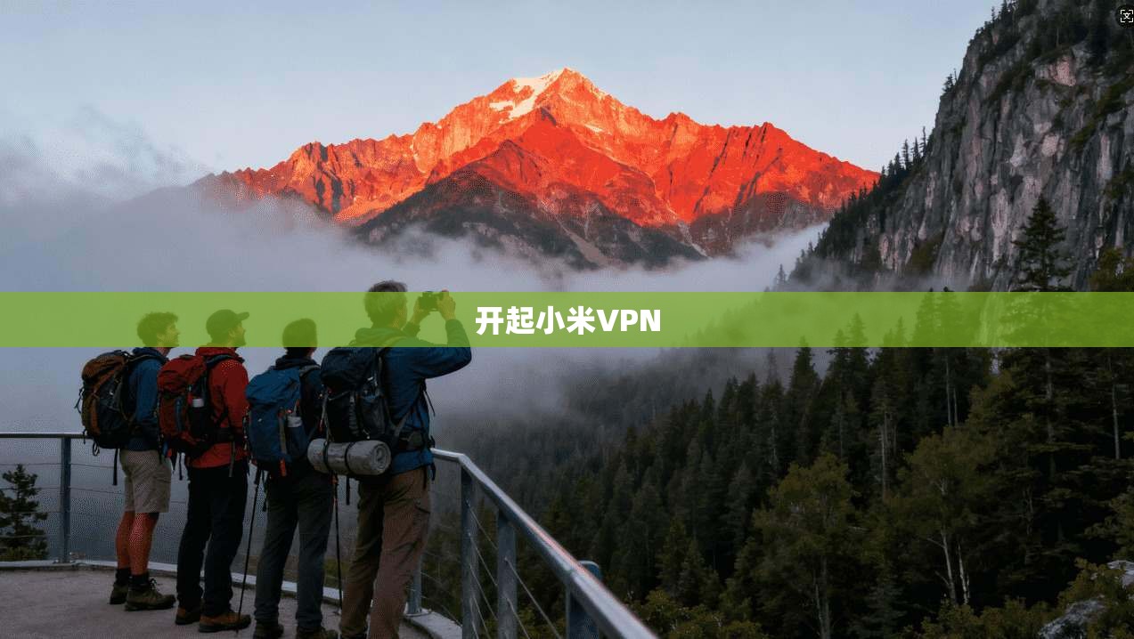 开起小米VPN  第1张