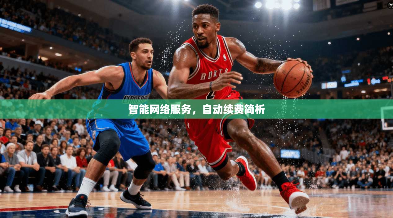 智能网络服务，自动续费简析