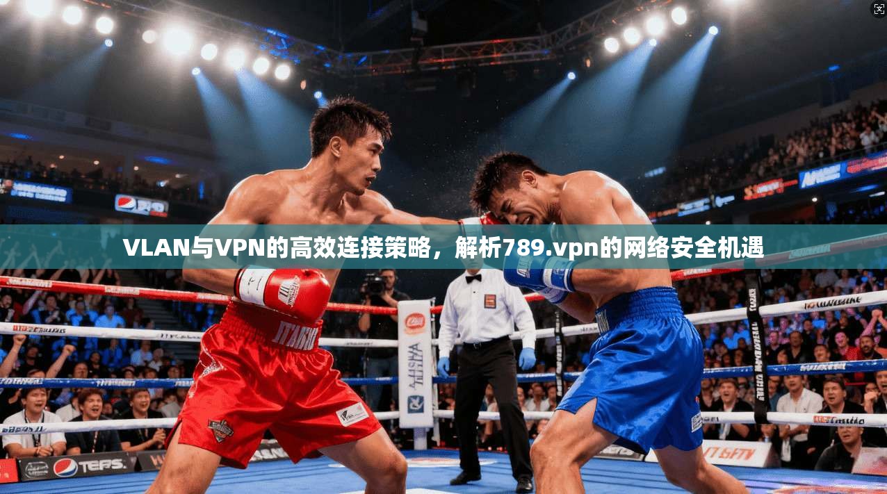 VLAN与VPN的高效连接策略，解析789.vpn的网络安全机遇