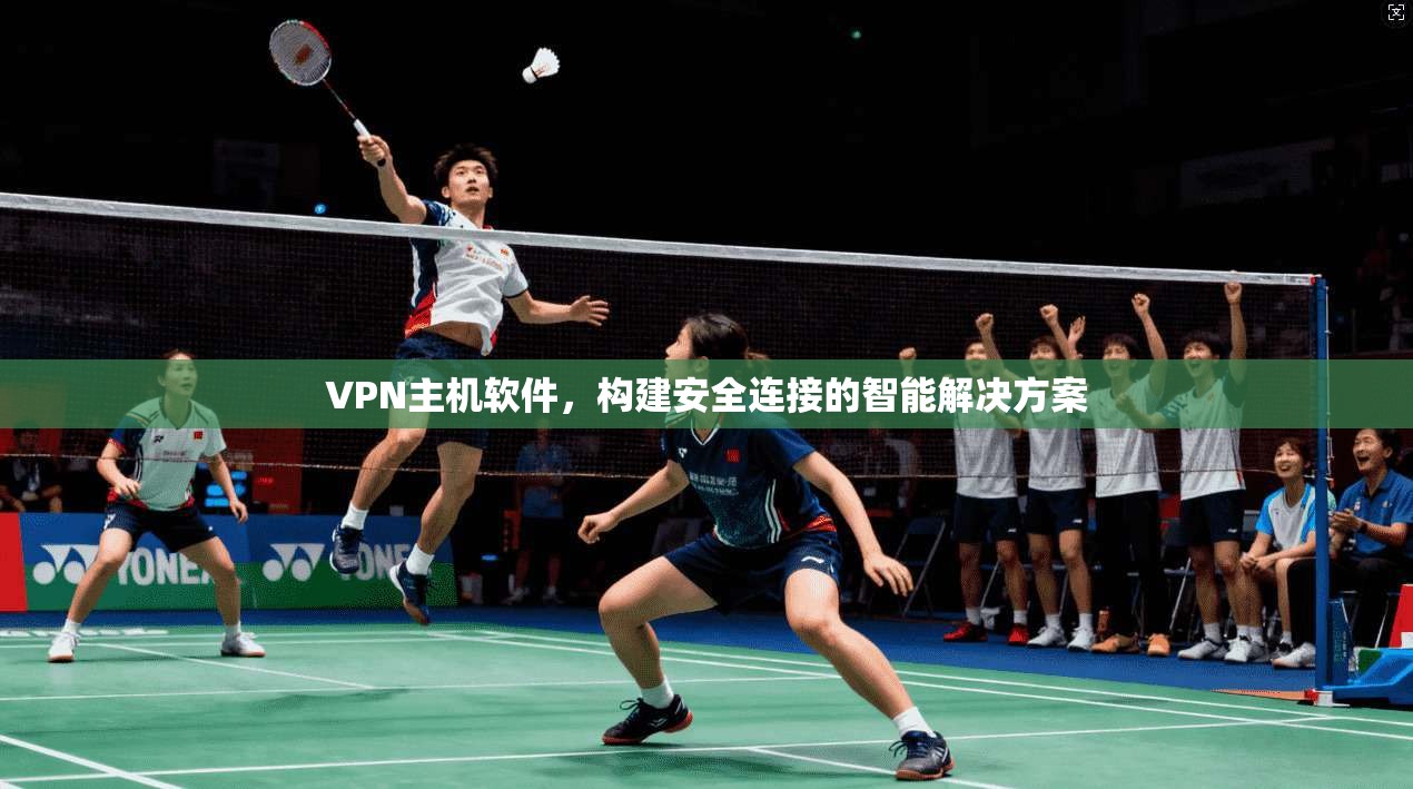 VPN主机软件，构建安全连接的智能解决方案