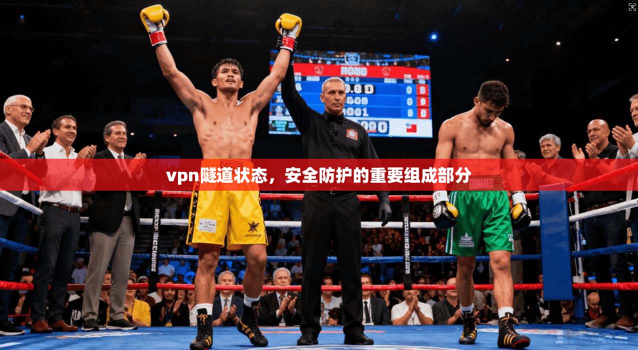 vpn隧道状态，安全防护的重要组成部分  第1张