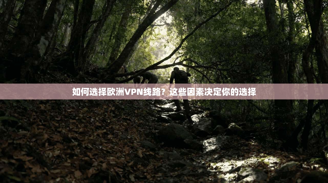 如何选择欧洲VPN线路？这些因素决定你的选择